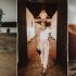 LOOKS PARA DESLUMBRAR